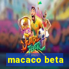 macaco beta