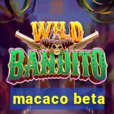 macaco beta