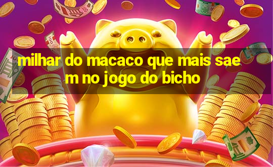 milhar do macaco que mais saem no jogo do bicho