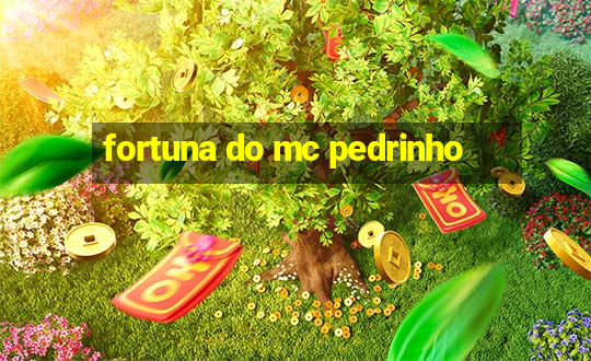 fortuna do mc pedrinho