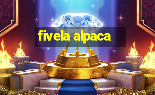 fivela alpaca