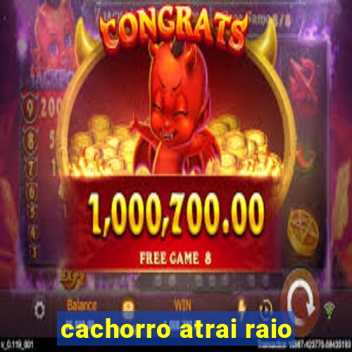 cachorro atrai raio