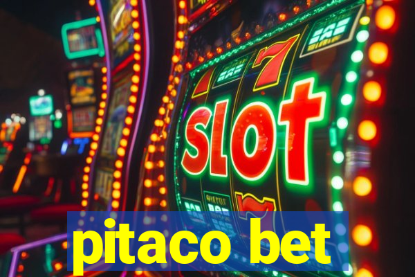 pitaco bet