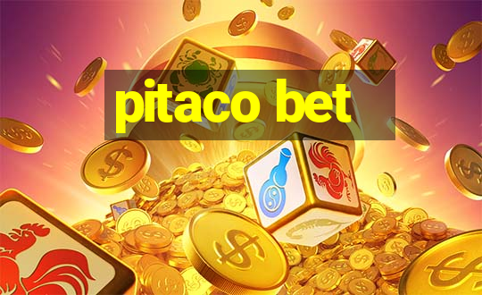 pitaco bet