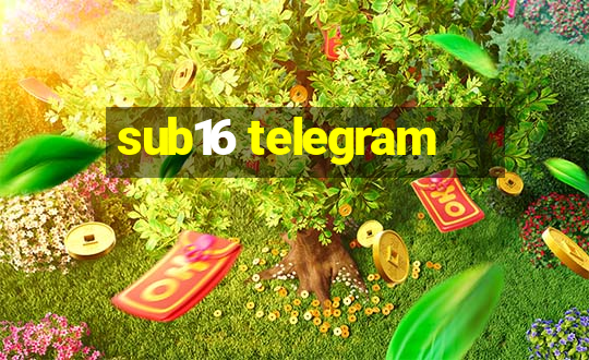 sub16 telegram