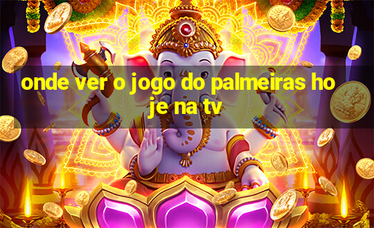 onde ver o jogo do palmeiras hoje na tv