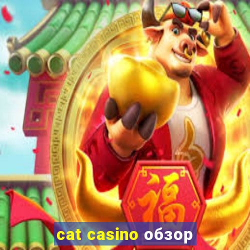 cat casino обзор