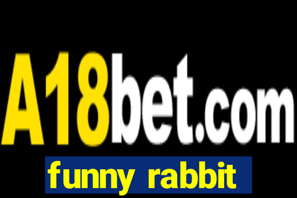 funny rabbit