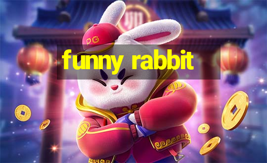 funny rabbit