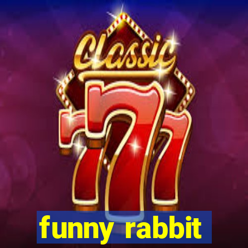 funny rabbit