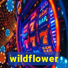 wildflower