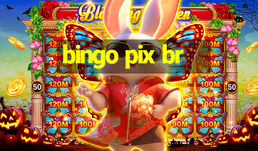 bingo pix br