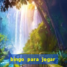 bingo para jogar com os amigos