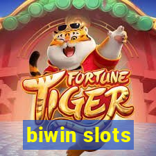 biwin slots