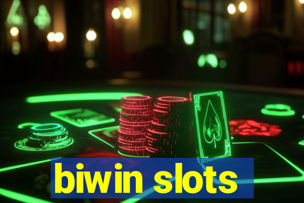 biwin slots