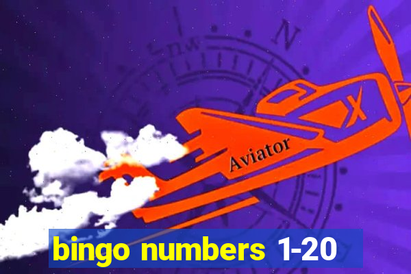 bingo numbers 1-20