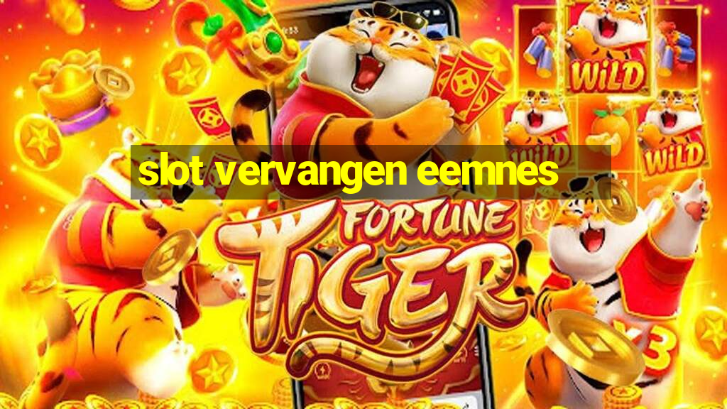 slot vervangen eemnes