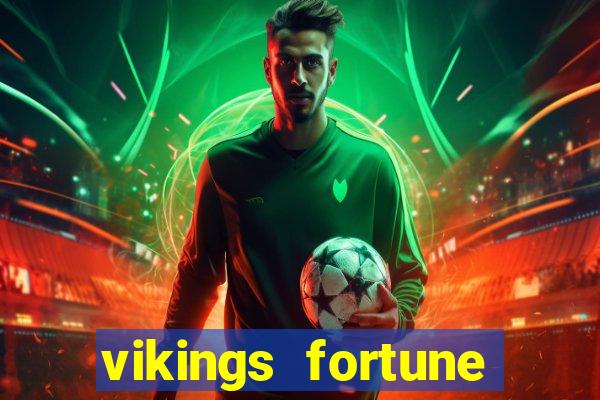 vikings fortune hold and win slot