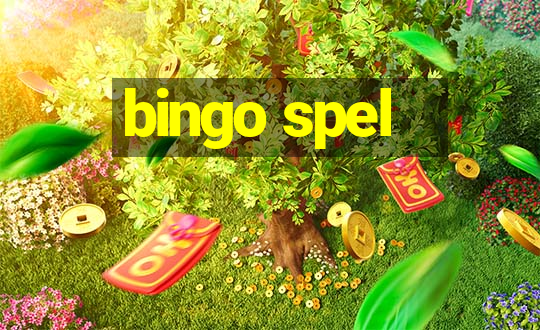 bingo spel