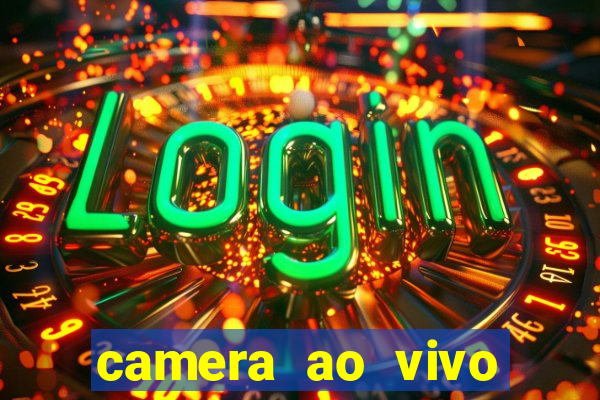 camera ao vivo terminal vila nova cachoeirinha