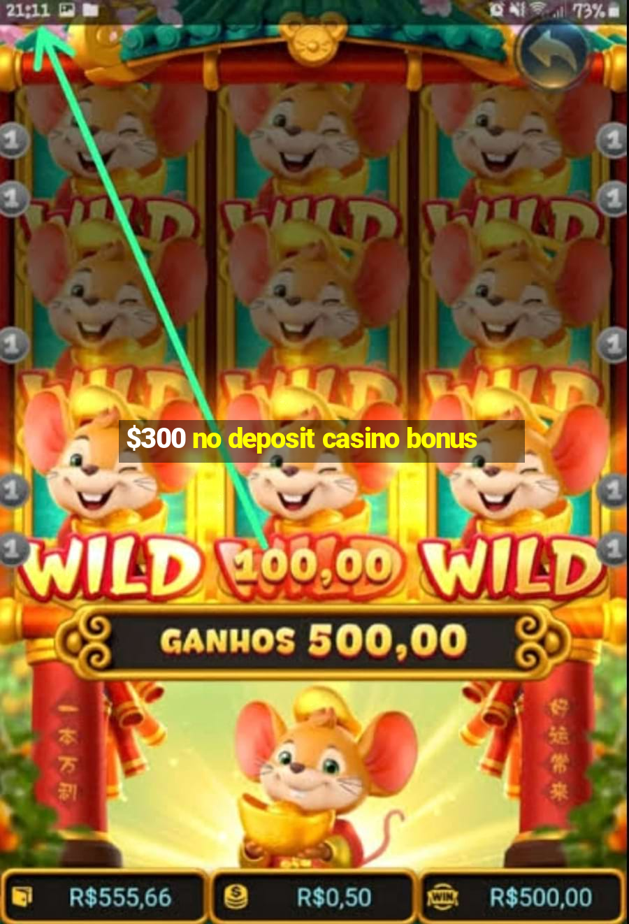 $300 no deposit casino bonus