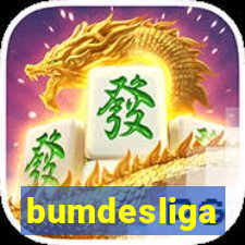 bumdesliga