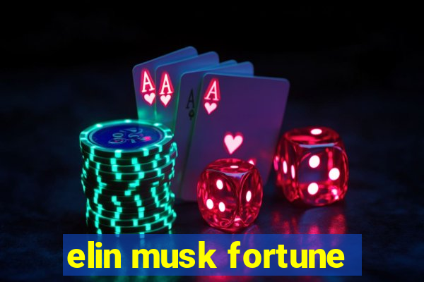 elin musk fortune