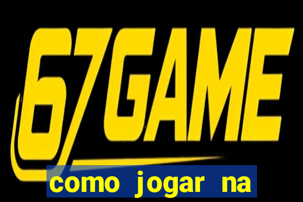 como jogar na lotinha do jogo do bicho