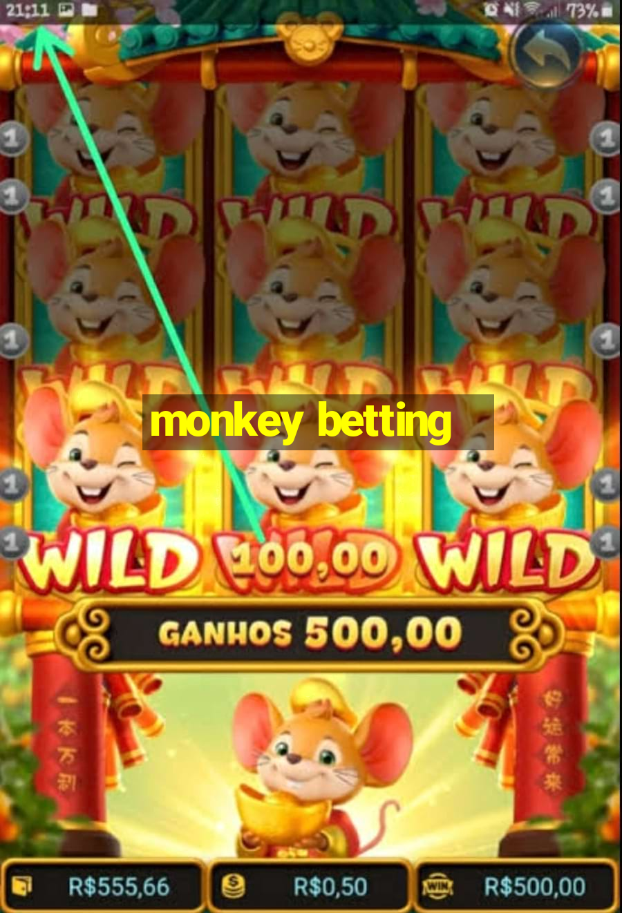 monkey betting