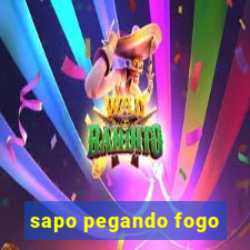 sapo pegando fogo