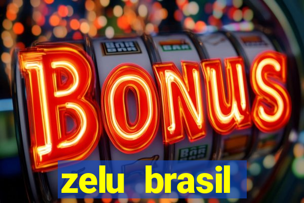 zelu brasil facilitadora de pagamentos ltda jogos