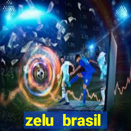 zelu brasil facilitadora de pagamentos ltda jogos