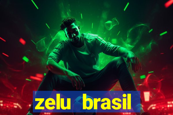 zelu brasil facilitadora de pagamentos ltda jogos