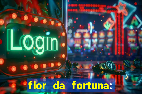 flor da fortuna: como cuidar