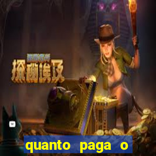 quanto paga o jungle fight