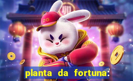 planta da fortuna: como cuidar