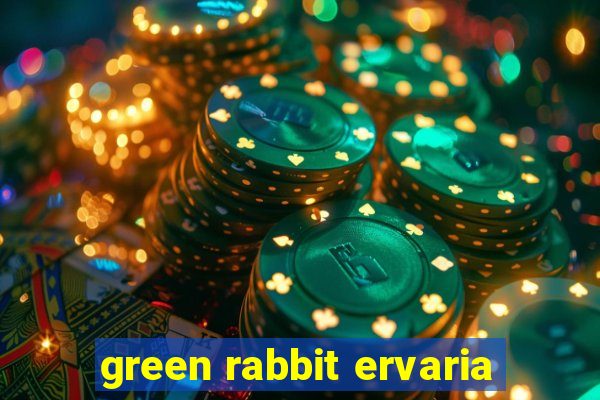 green rabbit ervaria