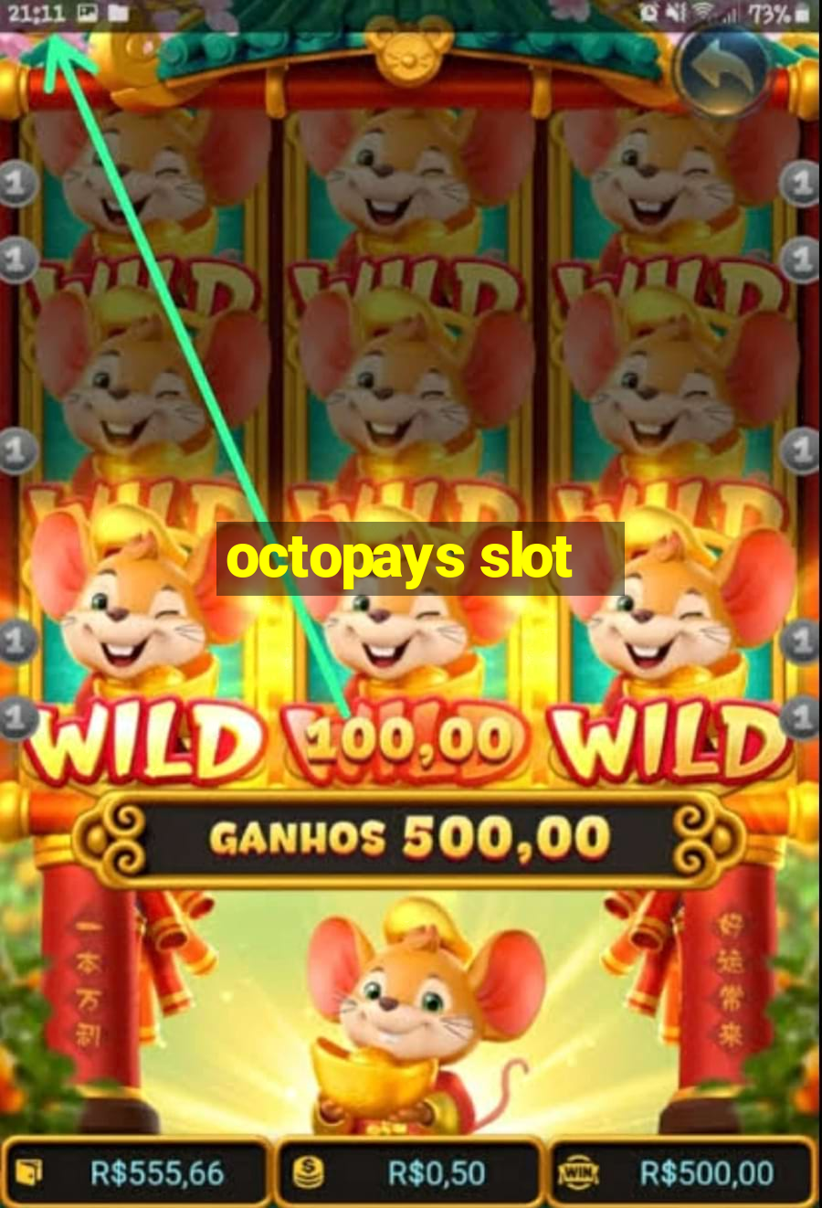 octopays slot