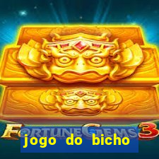 jogo do bicho online curitiba