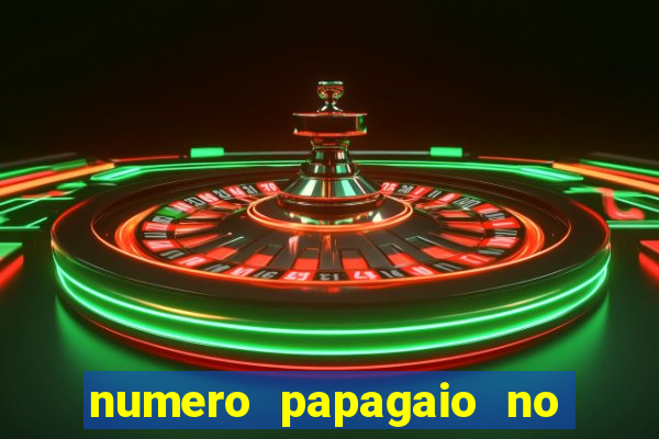 numero papagaio no jogo do bicho