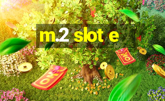 m.2 slot e