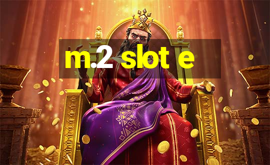 m.2 slot e