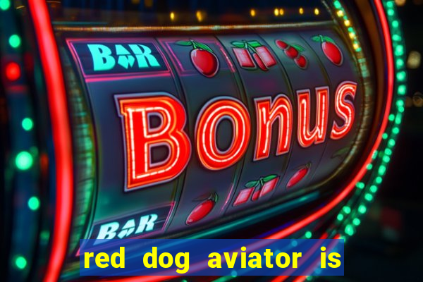 red dog aviator is real or fake