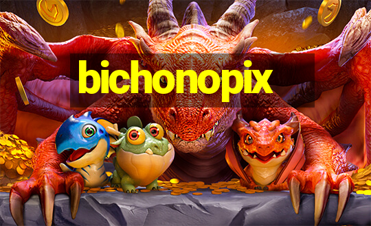 bichonopix