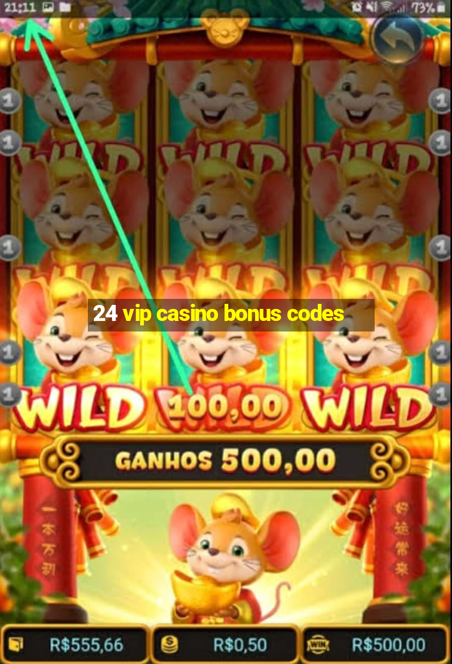 24 vip casino bonus codes