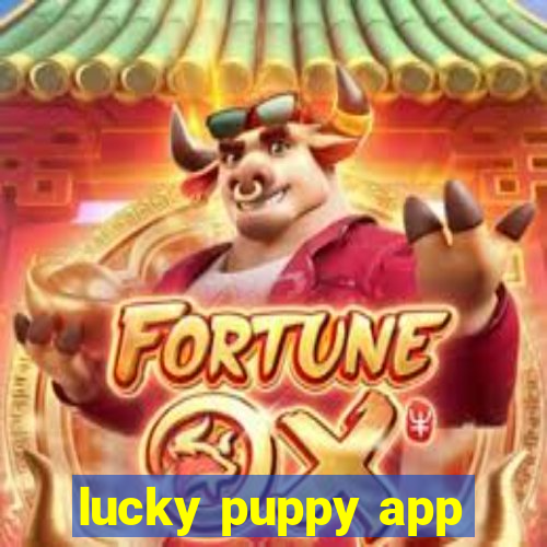 lucky puppy app