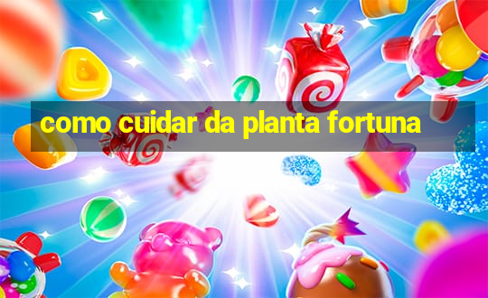 como cuidar da planta fortuna