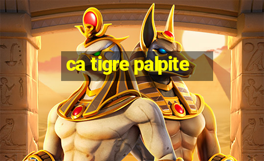 ca tigre palpite