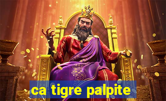 ca tigre palpite