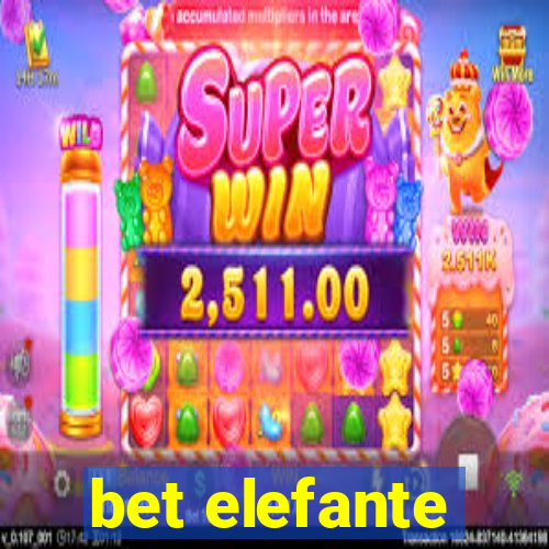 bet elefante